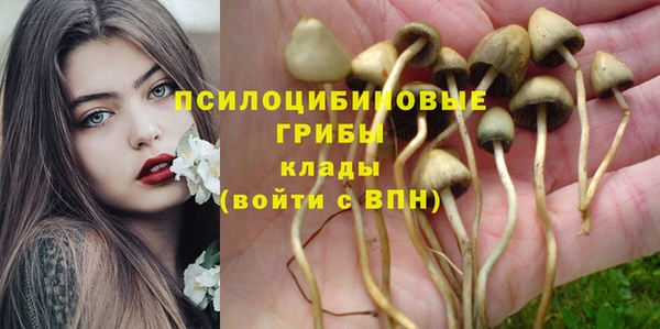 а пвп мука Нея