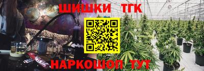 индика Гусиноозёрск