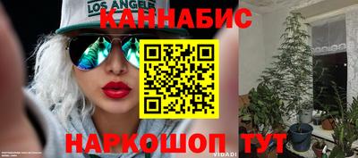 мдпв Гусь-Хрустальный