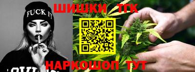 индика Гусиноозёрск