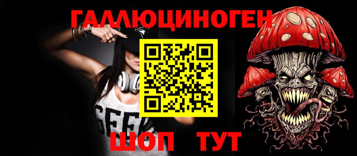Псилоцибиновые грибы Psilocybe Кирово-Чепецк