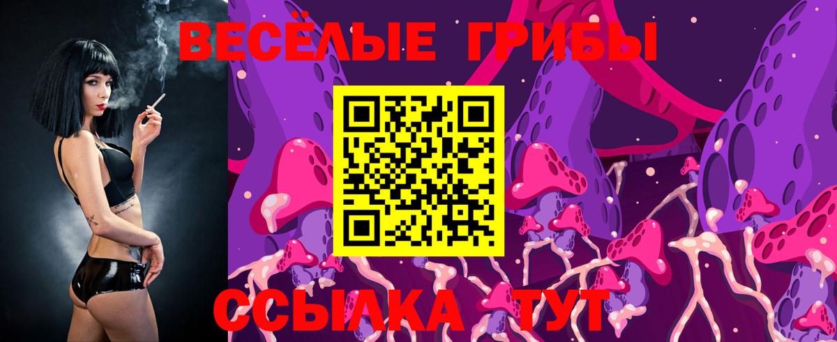 Кирово-Чепецк  Псилоцибиновые грибы Cubensis  Псилоцибиновые грибы Psilocybine cubensis  Вход с VPN 