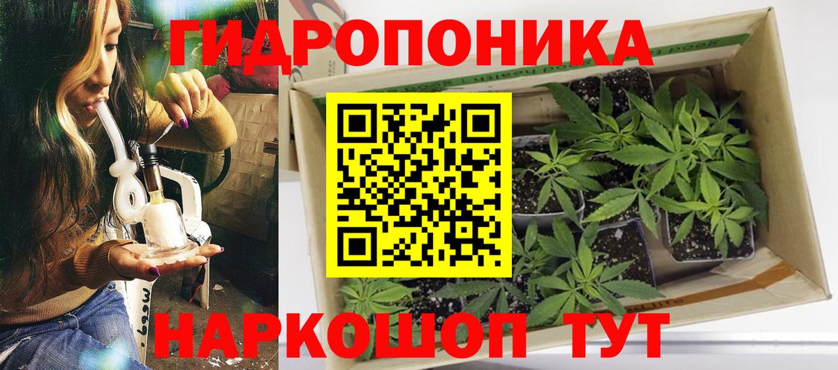 Конопля AK-47 Кирово-Чепецк